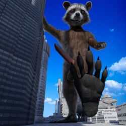 anthro balls city feet foot_focus genitals gesture guardians_of_the_galaxy hi_res looking_at_viewer macro male male_only mammal marvel open_mouth paws penis pointing pointing_at_viewer procyonid raccoon rocket_raccoon solo tawzy