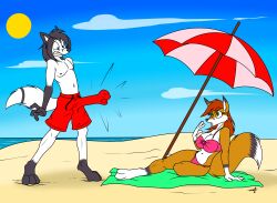 absurd_res alex_(alexmarblefox) anthro ashley_(alexmarblefox) beach big_breasts bikini black_hair blue_eyes bottomwear breasts bulge canid canine cherri_(artist) clothed clothing duo embarrassed erection erection_under_clothing erection_under_swimwear female fox fur genitals green_eyes hair hi_res male male/female mammal marble_fox navel nipples orange_body orange_fur penis penis_transformation penis_with_face pink_bikini pink_clothing pink_nipples pink_swimwear red_bottomwear red_clothing red_fox red_hair red_swimming_trunks red_swimwear sand seaside sentient_penis shirtless shocked_expression sky sun swimming_trunks swimwear topless towel transformation umbrella unusual_anatomy unusual_genitalia unusual_penis unwanted_erection water white_body white_fur