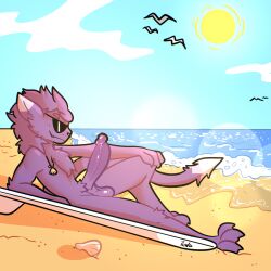 absurd_res anthro balls beach big_balls big_penis chest_tuft eyewear felid feline fur genitals hi_res male male_focus mammal nude penis purple_body purple_fur sand seashell seaside shell solo sun sunglasses the_xing1 tuft water