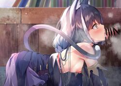 1boy all_fours animal_ear_fluff animal_ears bangs bar_censor black_hair blue_dress blush breasts cat_ears cat_girl cat_tail censored clothes_pull cum cum_in_mouth detached_sleeves dress dress_pull fellatio female green_eyes highres karyl_(princess_connect!) long_hair low_ponytail madotsukumo nipples oral penis princess_connect! saliva shiny shiny_hair small_breasts solo_focus straight tail tail_raised tongue tongue_out