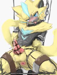 anthro anthro_only anus black_body black_fur blue_body blue_fur blush bondage censored cum cum_on_body cumming dick felid feline feline_humanoid feline_penis fur furry furry_only hands_behind_back ikura_echichi legendary_pokémon male male_only mythical_pokemon penis pixelated pixelated_penis pokémon_(species) pokemon simple_background sodomy solo_male teeth teeth_showing white_background yellow_body yellow_fur zeraora