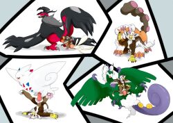 avian beak furry gryphon landorus nelsonnoir pawpads pokemon pokemon_(species) pokemon_bw pokemon_dppt pokemon_xy size_difference togekiss tornadus vaginal_penetration wings yveltal