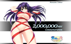 1girls aneimo female large_breasts milestone_celebration pussy ribbon shinonome_kazuhiko tagme toono_manami