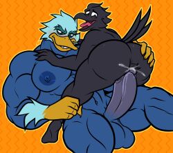 absurd_res albertcrow anal anal_sex anatid anseriform anthro anthro_on_anthro anthro_penetrated anthro_penetrating anthro_penetrating_anthro antideon ass avian balls beak big_butt big_penis bird black_body black_feathers blue_body blue_feathers corvid corvus_(genus) crow duck duo elfein_(character) erection feathers genitals hi_res male male/male male_penetrated male_penetrating male_penetrating_male muscular muscular_anthro muscular_male nipples nude oscine passerine pecs penetration penis sex yellow_beak