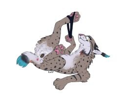 animal_genitalia animal_pussy animal_vulva anus bodily_fluids clothed clothed_feral clothing felid feline female feral genital_fluids genitals hi_res lynx makeup mammal panties partially_clothed pussy queenkoko solo underwear vaginal_fluids vulva