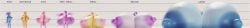 breasts_bigger_than_body breasts_bigger_than_head breasts_bigger_than_torso colossal_breasts frostbound furry hyper hyper_breasts tagme