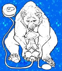 absurd_res animal_genitalia bear bladder bladder_bulge bladder_fucking bladder_penetration brown_bear dildo dildo_in_penis dildo_in_urethra dildo_insertion docking feral feral_on_feral genitals grizzly_bear hi_res kuruk_(character) male male_penetrated mammal masturbation organs penetration penile penile_masturbation penile_penetration penis penis_in_penis sex sex_toy sex_toy_in_penis sex_toy_in_urethra sex_toy_insertion sitting solo solo_focus stomach_bulge urethral urethral_penetration ursine vein veiny_penis yonnixart
