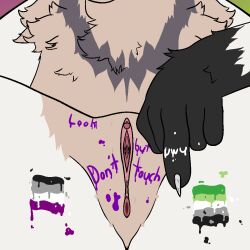 anthro body_writing close-up digital_media_(artwork) domestic_cat felid feline felis female flag fluffy fur genitals gesture karma_kitten karmamel lgbt_pride mammal middle_finger no_breasts pixel_(artwork) pride_colors pussy solo white_body white_fur