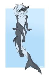 anthro female fish hashi hi_res marine shark solo