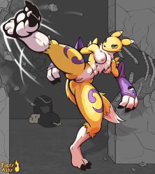 abs absurd_res anthro areola armwear ass bandai_namco breasts butt_from_the_front clothing digimon digimon_(species) female fieryashy fighting_pose genitals hi_res kick legwear motion_lines muscular muscular_female nipples nude pose presenting presenting_pussy punching_bag pussy renamon solo spread_legs spreading tights