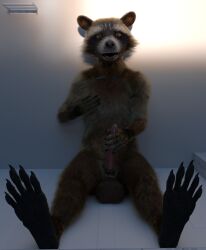 anthro balls big_balls blender_(software) brown_body brown_fur fur genitals guardians_of_the_galaxy hi_res looking_at_genitalia looking_at_penis male male_only mammal marvel masturbation open_mouth orange_eyes paws penis procyonid raccoon rocket_raccoon shower solo solo_male tawzy