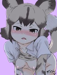 african_wild_dog_(kemono_friends) african_wild_dog_print animal_ears animal_print backlighting black_hair blush bottomless breasts clavicle clothing collared_shirt dog_tail drooling female female female_only female_solo foreshortening grey_eyes grey_hair groin hanging_breasts head_tilt high_resolution inumimi kemono_friends leaning_forward long_sleeves masuyama_ryou multicolored_hair nipples no_bra nose_blush open_clothes open_mouth open_shirt pink_background print_shirt shirt shirt_lift short_hair short_over_long_sleeves short_sleeves simple_background small_breasts solo tail tsurime two-tone_hair undershirt very_high_resolution white_shirt wing_collar