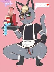 andromorph animal_crossing clothing crossman cuntboy domestic_cat felid feline felis hi_res intersex maid_uniform male mammal nintendo raymundo uniform video_games