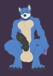 2018 5_fingers animal_genitalia animal_penis anthro balls biped blue_body blue_fur canid canine condom digital_media_(artwork) equine_penis erection fingers fur genitals green_eyes hi_res holding_penis longblueclaw looking_at_viewer male male_only mammal medial_ring pawpads paws penis sexual_barrier_device simple_background smile solo white_body white_fur