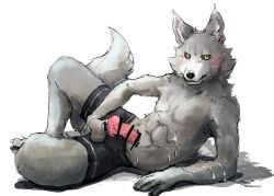 animal_genitalia animal_penis anthro balls bodily_fluids boxers_(clothing) canid canine canine_penis canis censored clothed clothing cum ejaculation erection fur genital_fluids genitals green_eyes grey_body grey_fur hi_res hot_dog_wolf humanoid_hands knot lying male mammal on_side partially_clothed penis plantigrade simple_background solo underwear white_background wolf