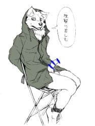 animal_genitalia animal_penis anthro arms_tied bottomless bound canid canine canine_penis canis censored chair clothed clothing coat dialogue fur furniture genitals half-erect hood hot_dog_wolf jacket japanese_text legs_tied male mammal partially_clothed penis simple_background sitting solo speech_bubble text topwear white_background white_body white_fur wolf