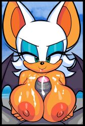 rouge the bat from sega by blackmore