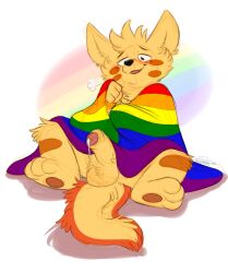 balls blush bodily_fluids erection genital_fluids genitals hi_res humanoid_genitalia humanoid_penis lgbt_history_month lgbt_pride male male_only orlandofox penis precum sitting solo wearing_flag