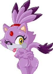 blaze_the_cat cat cat_girl cat_tail furry furry_female furry_only gif jewelry light_purple_fur long_tail looking_at_viewer loop looping_animation pink_nipples pixel_animation pixel_art ponytail purple_hair slapping_ass slapping_butt slapping_own_ass sonic_(series) sonic_the_hedgehog_(series) sonictopfan tail tan_ears white_background white_muzzle wink winking_at_viewer yellow_eyes