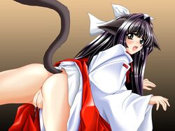 animal_ear ass catgirl hakama japanese_clothes miko nekomimi nopan pussy sea_lounge_garden sky_lounge_garden tail tomoya_kankurou uncensored