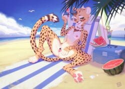 4_toes 5_fingers anthro beach beach_chair beach_towel beverage bikini blush breasts censored cheek_tuft cheetah claws clitoris clothing container detailed_background digital_media_(artwork) drinking drinking_straw eyewear facial_tuft feet felid feline female feral fingers food fruit fur furniture genitals green_eyes hand_on_leg heart heart_(marking) hi_res holding_object looking_at_viewer mammal markings melon mzhh one_eye_closed outside pawpads plant pussy sand seashell seaside shell sitting sky smile smiling_at_viewer solo spots spread_legs spreading sunglasses surfboard swimwear toe_claws toes tongue tongue_out towel tuft water watermelon white_body white_fur wink