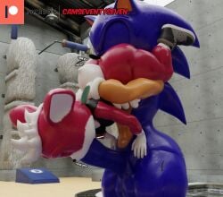 chip (sonic) from sonic (series) by camseven