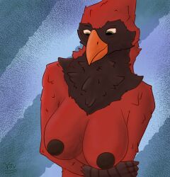 anthro areola arm_under_breasts avian beak big_breasts bird breasts cardinal_(bird) digital_media_(artwork) feathers female hi_res looking_down non-mammal_breasts oscine passerine solo vike_mike