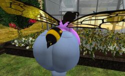 Ass Rule 34 Image