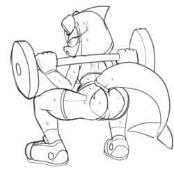 anthro anus bodily_fluids cetacean clothing crouching delphinoid exercise female footwear fours_(artist) genitals hi_res mammal marine pussy sega shoes solo sonic_(series) sonic_legacy sonic_the_hedgehog_(series) sweat tempest_the_dolphin toothed_whale torn_clothing workout