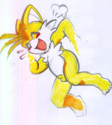 absurd_res anthro blush canid canine cub didi_(artist) fox genitals hi_res male mammal penis sega simple_background solo sonic_(series) tails white_background young