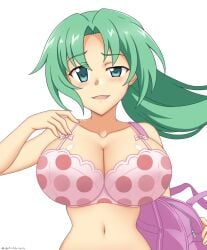 07th_expansion 1girls abridged-satoko bag big_breasts blush bra breasts busty cleavage female female_only green_eyes green_hair highres higurashi_no_naku_koro_ni large_breasts long_hair looking_at_viewer mion_sonozaki navel open_mouth ponytail smile solo underwear