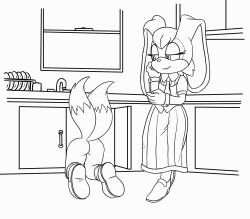tails the fox from sonic (series)