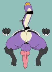 animal_genitalia animal_penis anus balls canine_penis cock_ring genitals glory_hole knot knotted_penis lucario male nintendo peachymewtwo penis pink_penis pokemon pokemon_(species) purple_body solo solo_male through_wall video_games