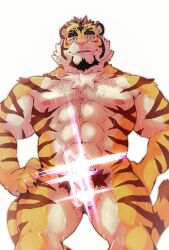 absurd_res anthro balls blush bodily_fluids body_hair censored erection facial_hair felid feline genitals hair heylaw21 hi_res humanoid_genitalia ineffective_censorship male mammal messy_hair munekata muscular nipples nude pantherine penis simple_background solo sparkles sweat tiger tora_koi