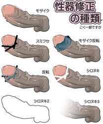 1boy balls ballsack bar_censor blur_censor censor_chart censored disembodied_penis educational erection foreskin foreskin_folds intact japanese_text lowres male male_only mosaic_censoring penis penis_focus penis_only reference_image retracted_foreskin sashizume_soutarou scrotum silhouette testicles translation_request tutorial uncut veins veiny_penis