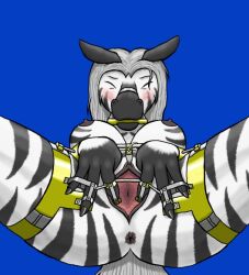 2006 anthro anus biped bit_gag blue_background blush bondage bondage bound closed_eyes corsair_(artist) equid equine female gag gagged genitals mammal pussy simple_background solo spread_legs spread_pussy spreading striped_body stripes submissive submissive_anthro submissive_female zebra