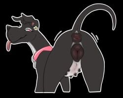 2022 5:4 6_nipples anatomically_correct anatomically_correct_anus anatomically_correct_genitalia anatomically_correct_pussy animal_genitalia animal_pussy anus anus_blush ass black_anus black_body black_fur black_nipples black_nose black_pussy blush body_blush camellia_(halbean) canid canine canine_pussy canis collar domestic_dog eyelashes female feral floppy_ears fur genitals great_dane halbean in_heat mammal markings mastiff molosser multi_nipple nipples pink_collar pink_eyes pink_inner_ear pink_tongue plump_labia presenting presenting_anus presenting_hindquarters presenting_pussy puffy_anus pussy pussy_blush quadruped raised_tail solo tongue tongue_out whisker_markings