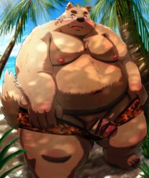 2022 absurd_res anthro balls beach belly big_belly bottomwear canid canine canis censored clothing detailed_background domestic_dog genitals hi_res humanoid_genitalia humanoid_hands humanoid_penis kemono kumajjjj male mammal moobs navel nipples outside overweight overweight_male palm_tree penis plant seaside shorts solo swimwear tree