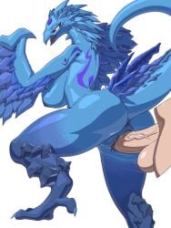 anivia dragon fur furry league_of_legends wyvern yiff