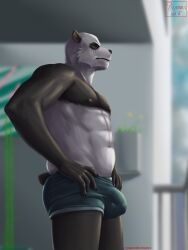 anthro bear beastars blurred_background bulge clothing detailed_bulge giant_panda gouhin hands_on_hips hermesdidit hi_res looking_away male male_only mammal muscular muscular_anthro muscular_male nipples solo standing underwear