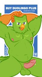 anthro avian balls beak belly bird black_eyes blue_background bodily_fluids cerdeorhys circumcised circumcision_scar dripping duo_(duolingo) duolingo erection feathers genital_fluids genital_scar genitals green_body green_feathers grin hand_on_head hands_behind_head hi_res looking_at_viewer male male_only mascot musclegut nipples owl pecs penis precum precum_drip saggy_balls scar simple_background sitting smile solo tongue vein veiny_penis