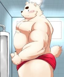 2022 anthro bathroom belly big_belly black_nose blush clothing genitals hi_res humanoid_genitalia humanoid_hands humanoid_penis kemono male mammal mohumohudansi moobs nipples overweight overweight_male penis polar_bear solo underwear ursid ursine white_body