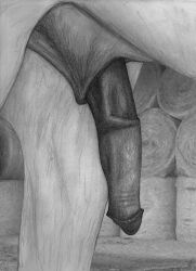 anatomically_correct anatomically_correct_genitalia anatomically_correct_penis animal_genitalia animal_penis crotch_shot darkmare equid equine equine_penis eunuch feral genitals hi_res horse male mammal monochrome penis sheath solo