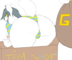 anthro ass bending_over big_ass big_butt breasts clothing ensayne faceless_male female female_focus female_only fur furry hair looking_back male male/female money money_bag panties solo_focus tail temmie temmie_(undertale) text thick_thighs undertale undertale_(series) underwear vagina wide_hips