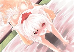 all_fours animal_ears bed_sheet blush doggy_style hat momiji_inubashiri nude red_eyes saliva sex sheet_grab shirosuzu short_hair solo sweat tail tail_grab tokin_hat touhou white_hair wolf_ears wolf_tail