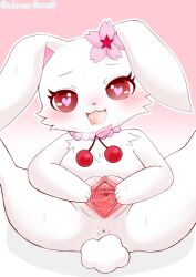 <3_eyes 2021 accessory anthro anus blush cherry clovergame0 female floppy_ears flower flower_in_hair food fruit fur genitals gradient_background hair hair_accessory heart jewelpet jewelry lagomorph legs_up leporid lying mammal necklace on_back open_mouth plant presenting presenting_pussy pussy rabbit red_eyes ruby_(jewelpet) sanrio signature simple_background solo spread_legs spread_pussy spreading white_body white_fur young