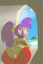 1girls anus anus_focus ass ass_focus butt donut_anus female female_only pants pcengine puffy_anus pussy shantae shantae_(character) smooth_skin solo sunlight