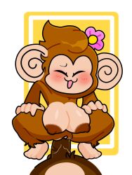 absurd_res accessory anthro areola blush brown_areola crouching duo female flower flower_in_hair genitals hair hair_accessory hands_on_hips haplorhine hi_res humanoid maio male male/female mammal meemee monkey monkey_girl open_mouth plant primate pussy sega super_monkey_ball