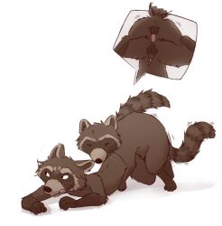 anonymous_artist doggy_style duo from_behind_position guardians_of_the_galaxy male male/male male_only mammal marvel procyonid raccoon rocket_raccoon sex underview