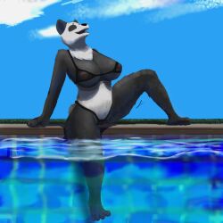 andy_234 anthro female female/female giant_panda hi_res mammal ursid vicky_panda_(andy234)